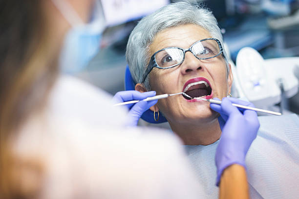 Professional Dental Services in Longwood, FL